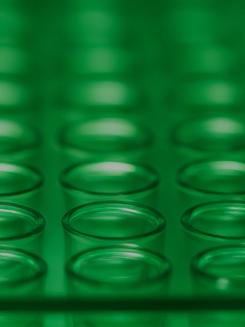 AI-generated product imagery created from 3D files — Bagbox Group